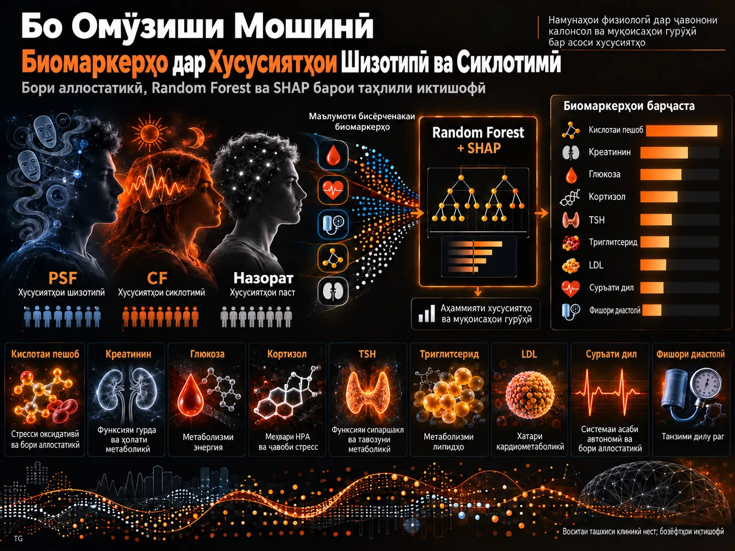 Муайянсозии Биомаркерҳои Марбут ба Хусусиятҳои Шизотипӣ ва Сиклотимӣ бо Дастгирии Омӯзиши Мошинӣ