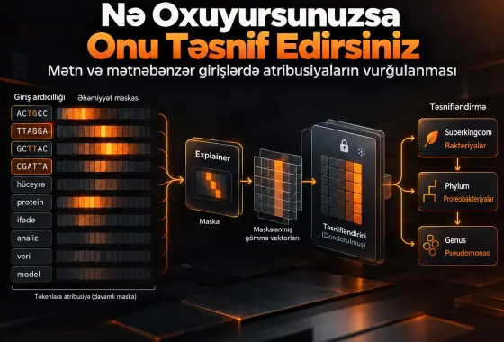 Nə Oxuyursunuzsa, Onu Təsnif Edirsiniz: Mətn və Mətnəbənzər Girişlərdə Atribusiyaların Vurğulanması
