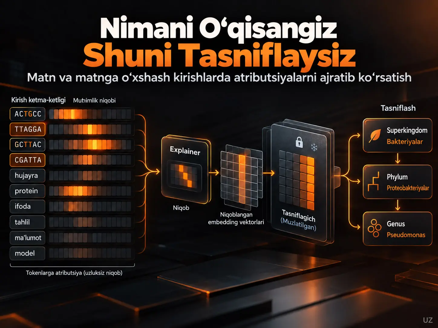 Nimani Oʻqisangiz, Shuni Tasniflaysiz: Matn va Matnga Oʻxshash Kirishlarda Atributsiyalarni Ajratib Koʻrsatish