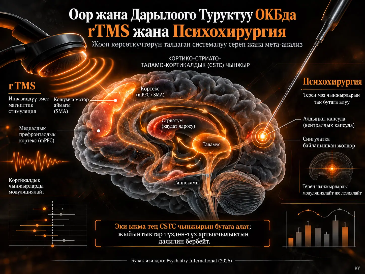 Оор жана Дарылоого Туруктуу ОКБда rTMS жана Психохирургия: Жооп Көрсөткүчтөрү Эмнени Көрсөтөт?