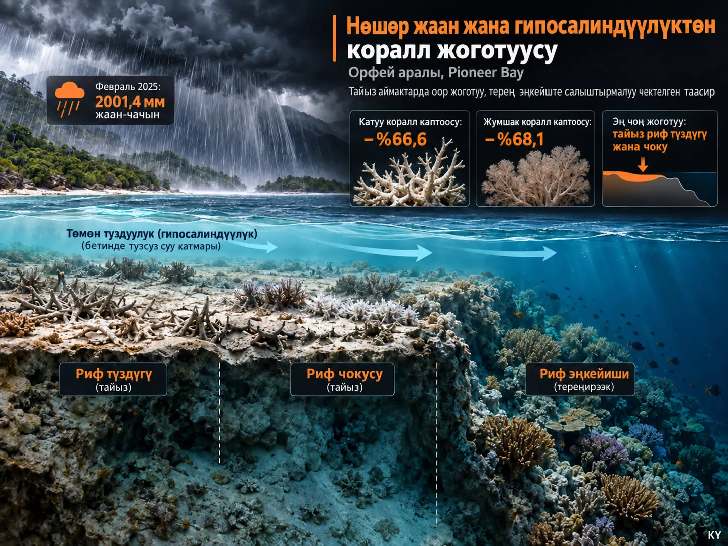 Орфей Аралындагы Коралл Жоготуусунун Таксономиялык Өзгөрмөлүүлүгү: Мурда Болуп Көрбөгөн Жаан-Чачын жана Гипосалиндүүлүк Менен Байланыш