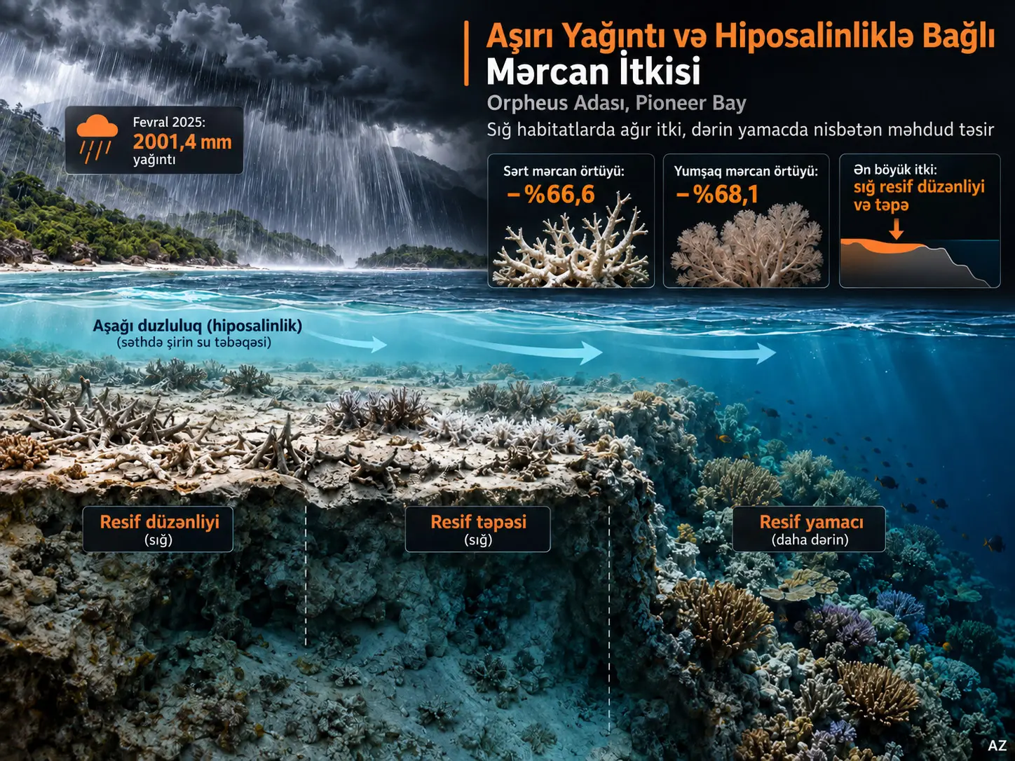 Orpheus Adasında Mərcan İtkisində Taksonomik Dəyişkənlik: Misilsiz Yağıntı və Hiposalinliklə Əlaqə