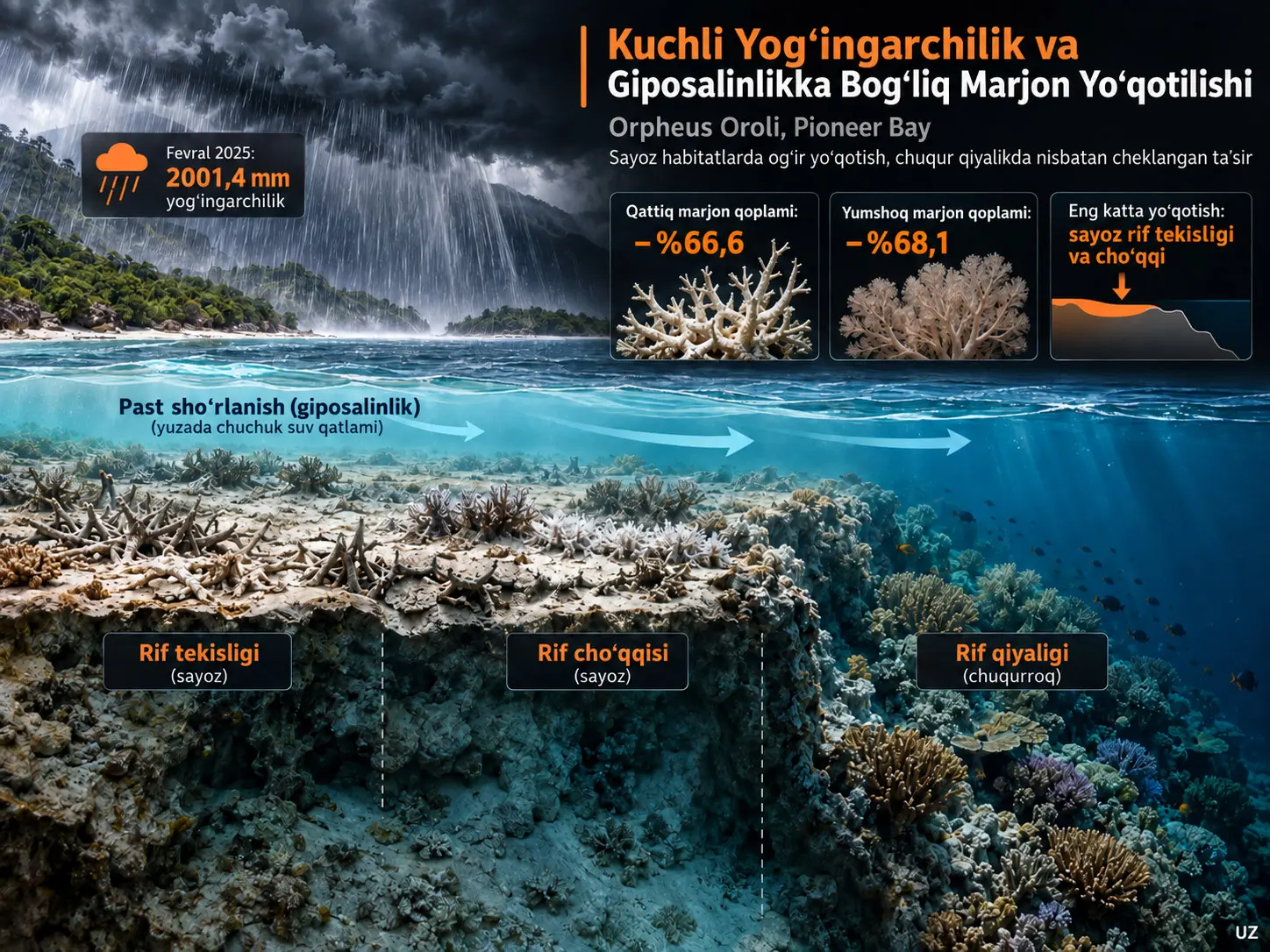 Orpheus Orolida Marjon Yoʻqotilishidagi Taksonomik Oʻzgaruvchanlik: Misli Koʻrilmagan Yogʻingarchilik va Giposalinlik Bilan Bogʻliqlik