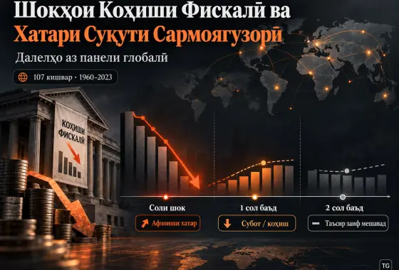 Оё Шокҳои Коҳиши Фискалӣ Суқути Сармоягузориро Ба Бор Меоранд? Далелҳо аз Панели Глобалӣ