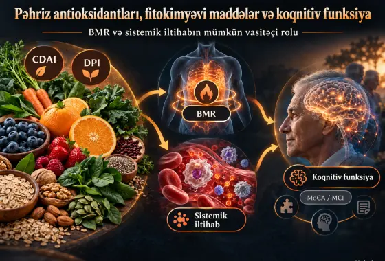 Pəhriz Antioksidant və Fitokimyəvi İndekslərinin Koqnitiv Funksiya ilə Əlaqələri: Bazal Metabolizma Sürəti və Sistemik İltihabın Vasitəçi Rolları