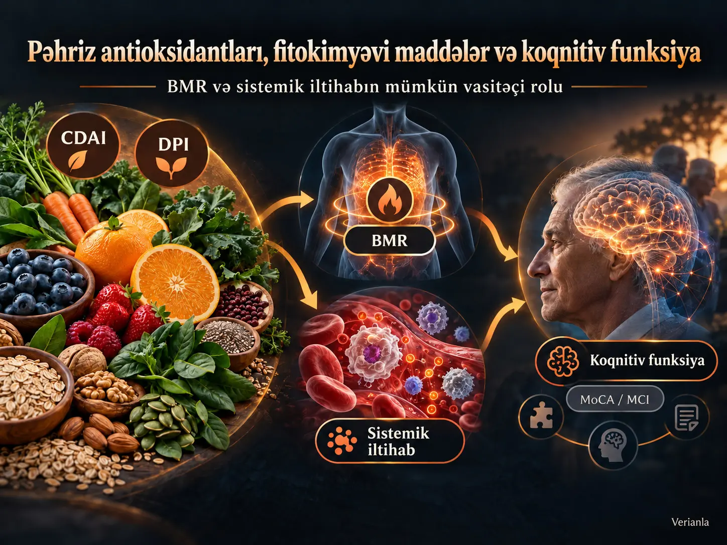Pəhriz Antioksidant və Fitokimyəvi İndekslərinin Koqnitiv Funksiya ilə Əlaqələri: Bazal Metabolizma Sürəti və Sistemik İltihabın Vasitəçi Rolları
