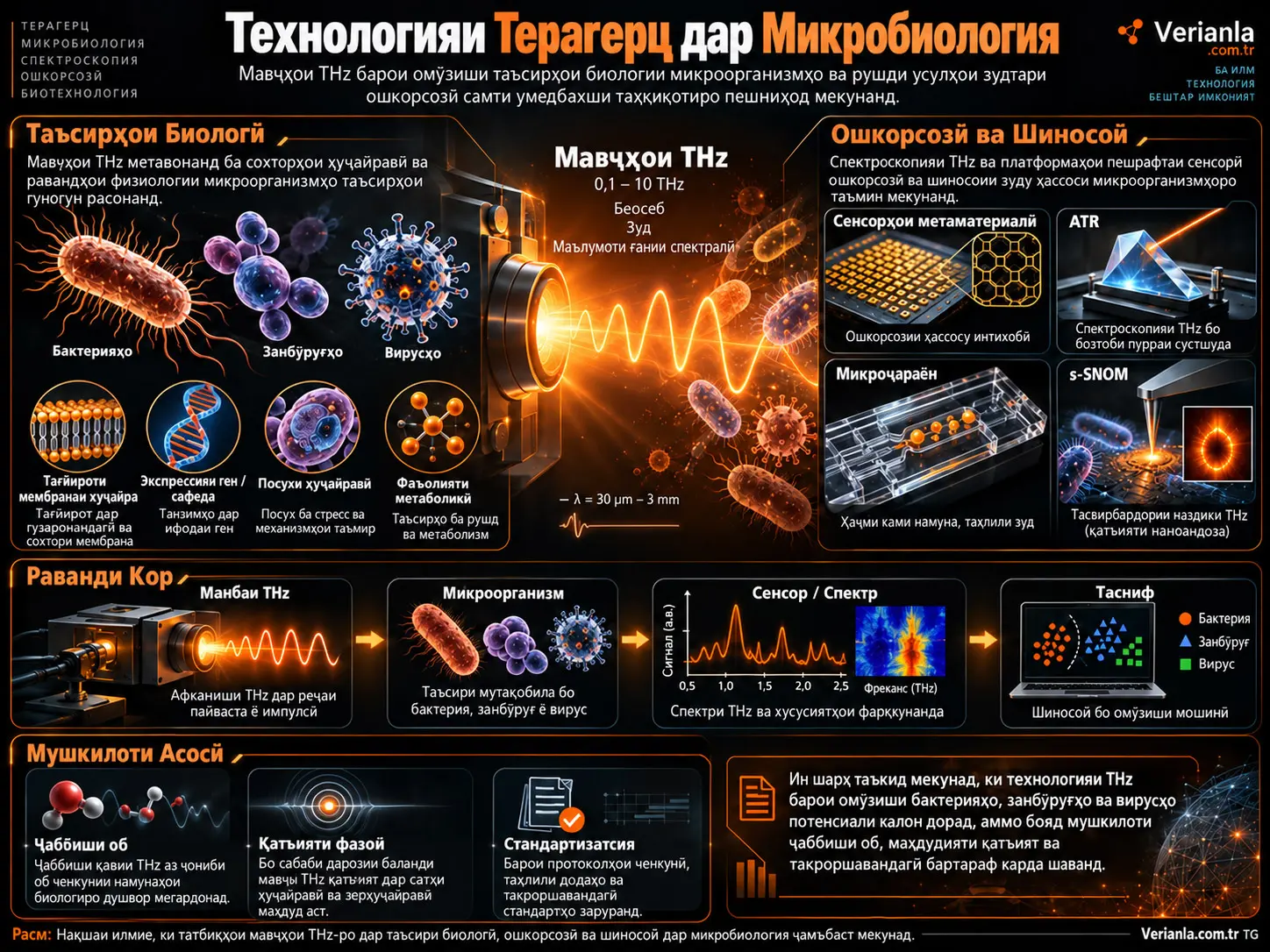 Пешрафтҳо дар Таҳқиқоти Технологияи Терагерц дар Микробиология