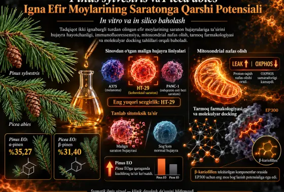 Pinus sylvestris va Picea abies Ignalaridan Olingan Efir Moylarining Saratonga Qarshi Potensialini In Vitro va In Silico Baholash