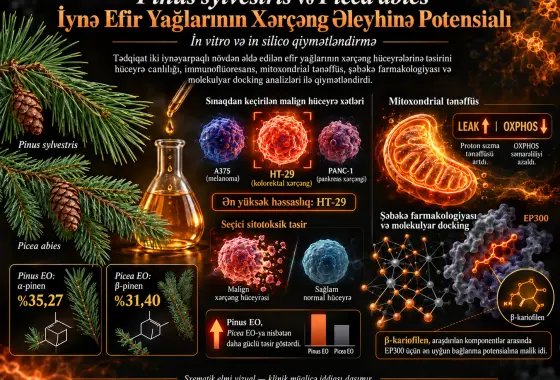 Pinus sylvestris və Picea abies İynələrindən Alınan Efir Yağlarının Xərçəng Əleyhinə Potensialının İn Vitro və İn Silico Qiymətləndirilməsi
