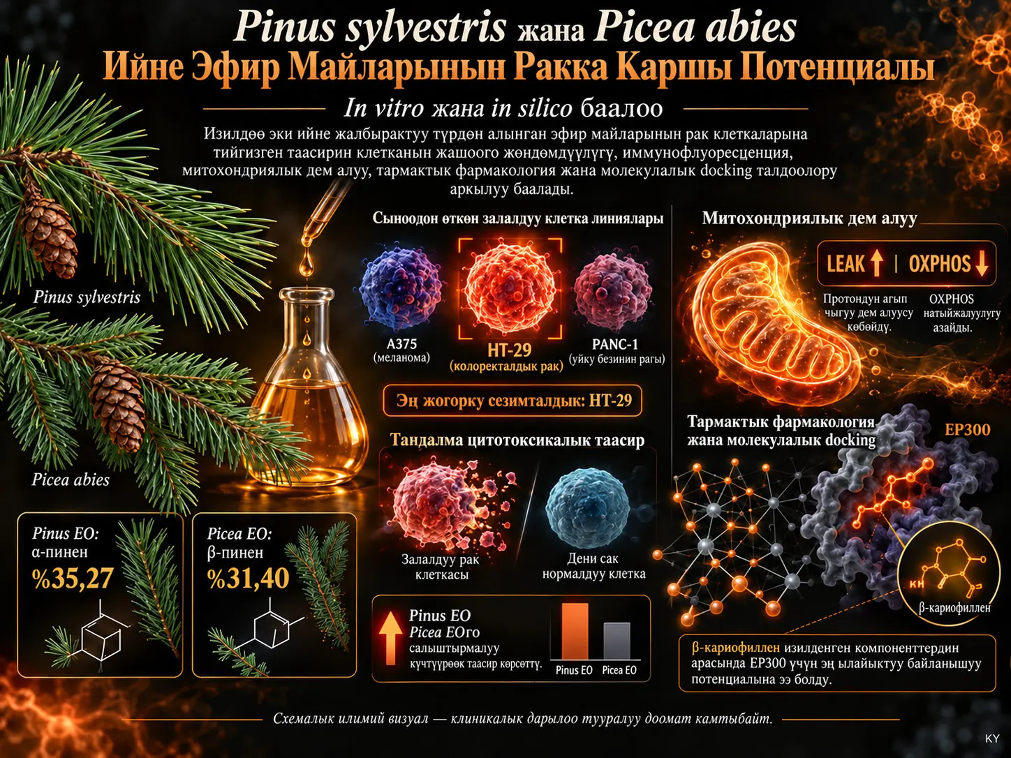 Pinus sylvestris жана Picea abies Ийнелеринен Алынган Эфир Майларынын Ракка Каршы Потенциалын In Vitro жана In Silico Баалоо
