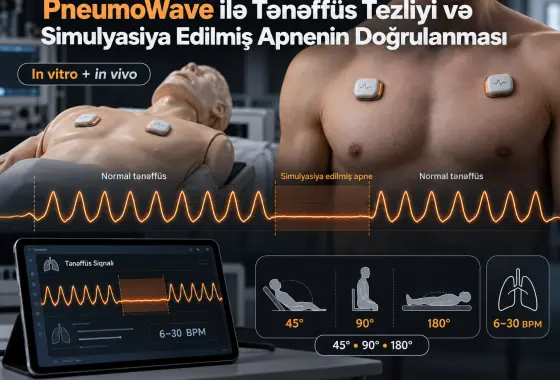 PneumoWave Biosensoru ilə Tənəffüs Tezliyinin və Simulyasiya Edilmiş Apnenin Qiymətləndirilməsi: In Vitro və In Vivo Doğrulama