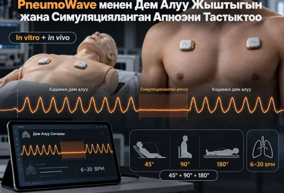 PneumoWave Биосенсору менен Дем Алуу Жыштыгын жана Симуляцияланган Апноэни Баалоо: In Vitro жана In Vivo Тастыктоо