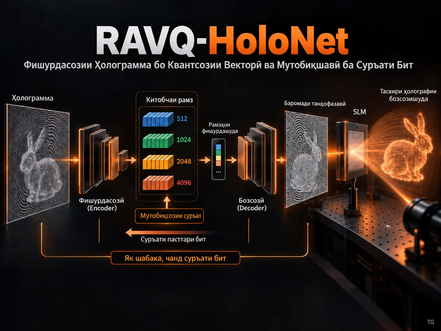 RAVQ-HoloNet: Фишурдасозии Ҳолограмма бо Квантсозии Векторӣ ва Мутобиқшавӣ ба Суръати Бит