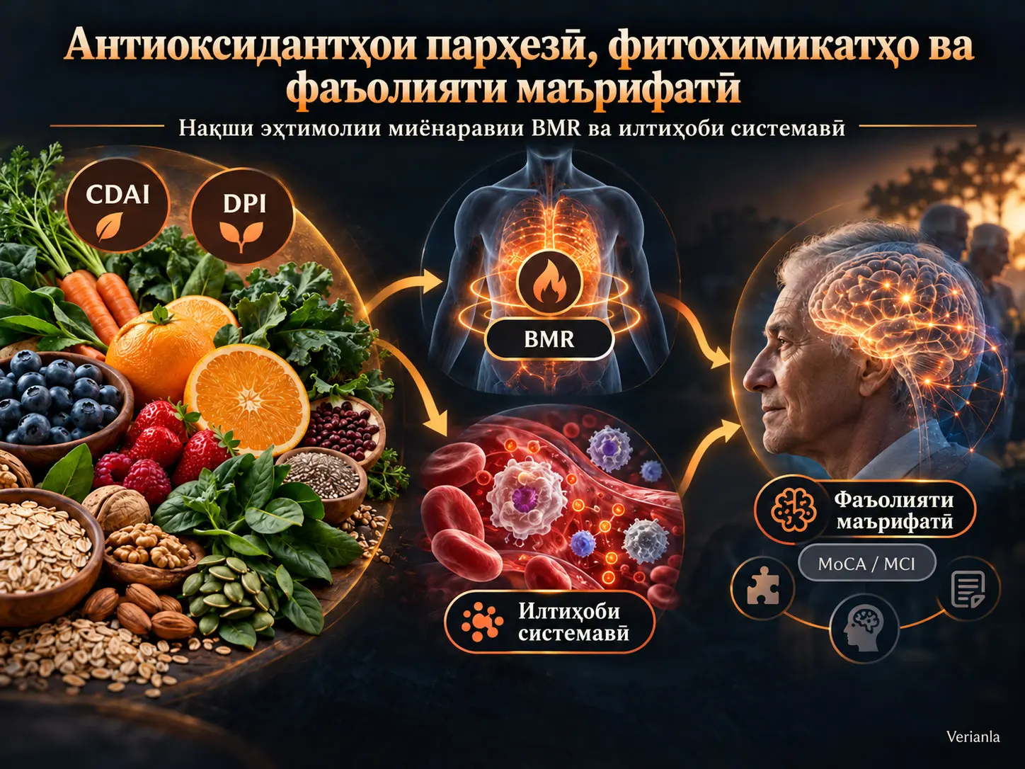 Робитаҳои Индексҳои Антиоксидантӣ ва Фитохимиявии Парҳезӣ бо Фаъолияти Маърифатӣ: Нақшҳои Миёнаравии Суръати Метаболизми Асосӣ ва Илтиҳоби Системавӣ