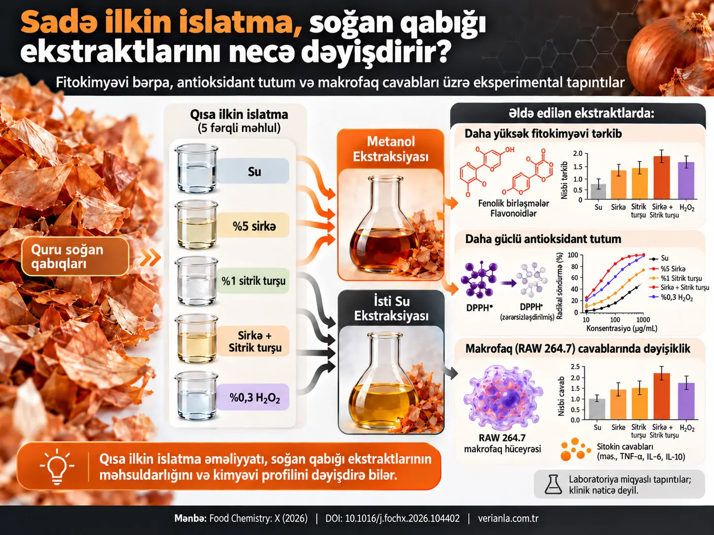 Sadə İlkin Islatmanın Soğan Qabığı Ekstraktlarında Fitokimyəvi Bərpa, Antioksidant Tutum və Makrofaq Cavablarına Təsiri