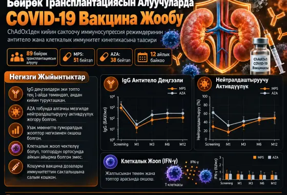 Сактоочу Иммуносупрессия Режиминин Алгачкы Эмдөө катары ChAdOx1 Алган Бөйрөк Трансплантациясын Алуучулардагы Anti-SARS-CoV-2 Антитело жана Клеткалык Иммунитет Кинетикасына Таасири