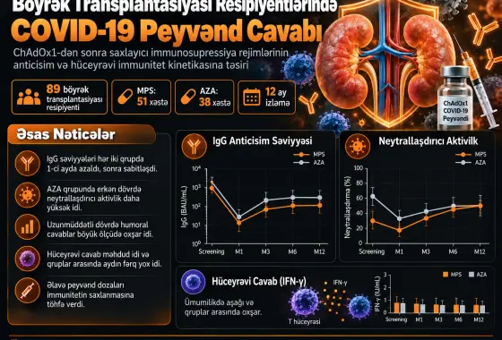 Saxlayıcı İmmunosupressiya Rejiminin İlkin Peyvəndləmə kimi ChAdOx1 Alan Böyrək Transplantasiyası Resipiyentlərində Anti-SARS-CoV-2 Anticisim və Hüceyrəvi İmmunitet Kinetikasına Təsiri