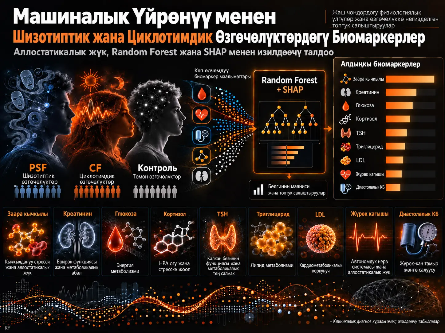 Шизотиптик жана Циклотимдик Өзгөчөлүктөргө Байланыштуу Биомаркерлерди Машиналык Үйрөнүү Жардамы менен Аныктоо