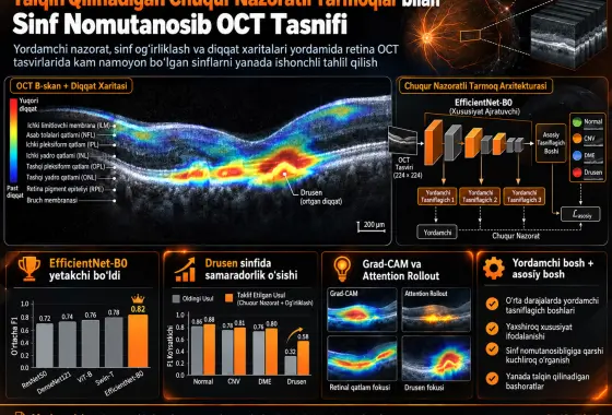 Sinf Nomutanosib OCT Tasnifi Uchun Talqin Qilinadigan Chuqur Nazoratli Tarmoqlar