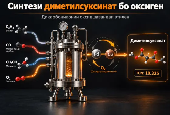 Синтези самаранок ва устувори диметилсуксинат тавассути дикарбонилонии оксидшавандаи этилен бо истифодаи оксиген ҳамчун оксидкунандаи ниҳоии иқтисодӣ