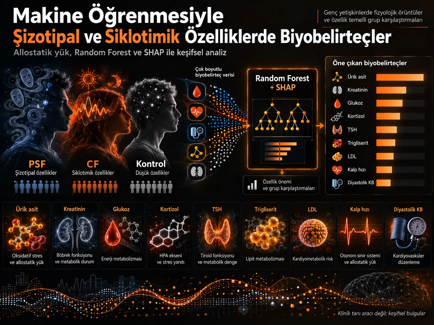 Şizotipal ve Siklotimik Özelliklerle İlişkili Biyobelirteçlerin Makine Öğrenmesi Destekli Belirlenmesi