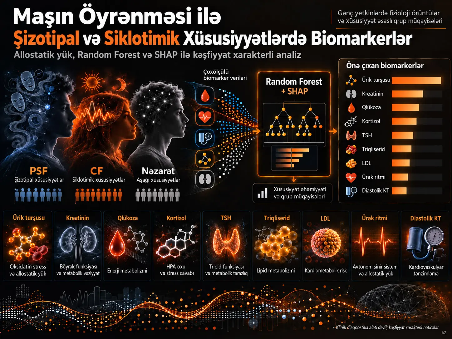 Şizotipal və Siklotimik Xüsusiyyətlərlə Əlaqəli Biomarkerlərin Maşın Öyrənməsi Dəstəyi ilə Müəyyənləşdirilməsi