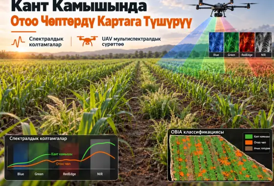 Спектроскопиялык Маалыматтардан жана Мультиспектралдык Сүрөттөрдөн Алынган Спектралдык Колтамгалар менен Кант Камышынын Отоо Чөптөрүн Картага Түшүрүү