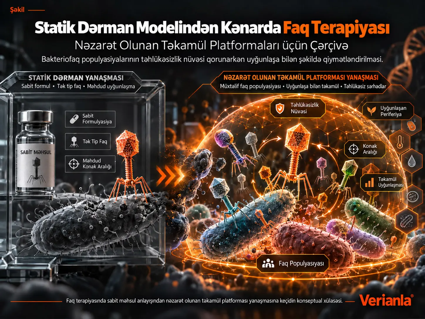 Statik Dərman Modelindən Kənarda Faq Terapiyası: Nəzarət Olunan Təkamül Platformaları üçün Çərçivə