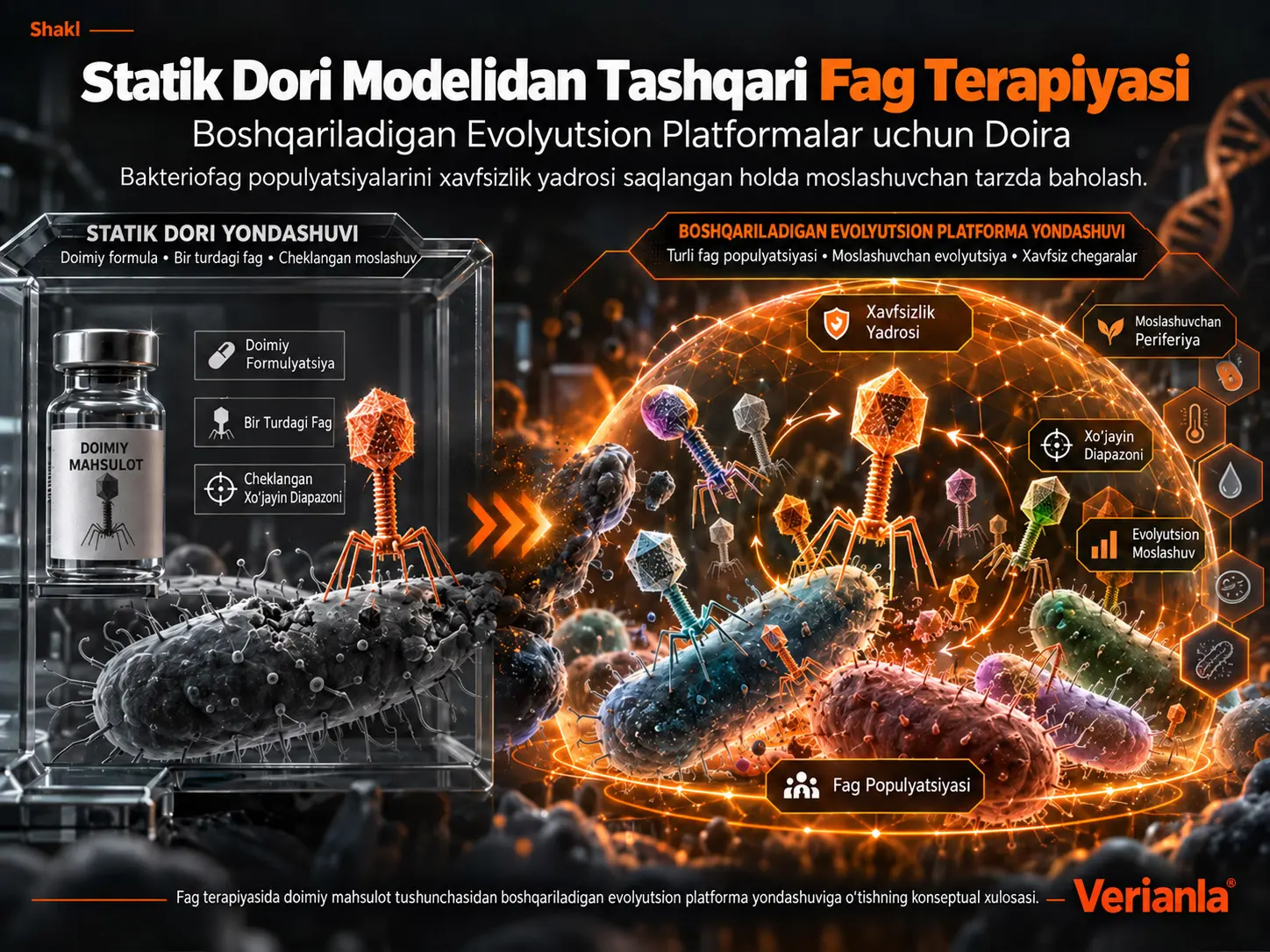Statik Dori Modelidan Tashqari Fag Terapiyasi: Boshqariladigan Evolyutsion Platformalar uchun Doira