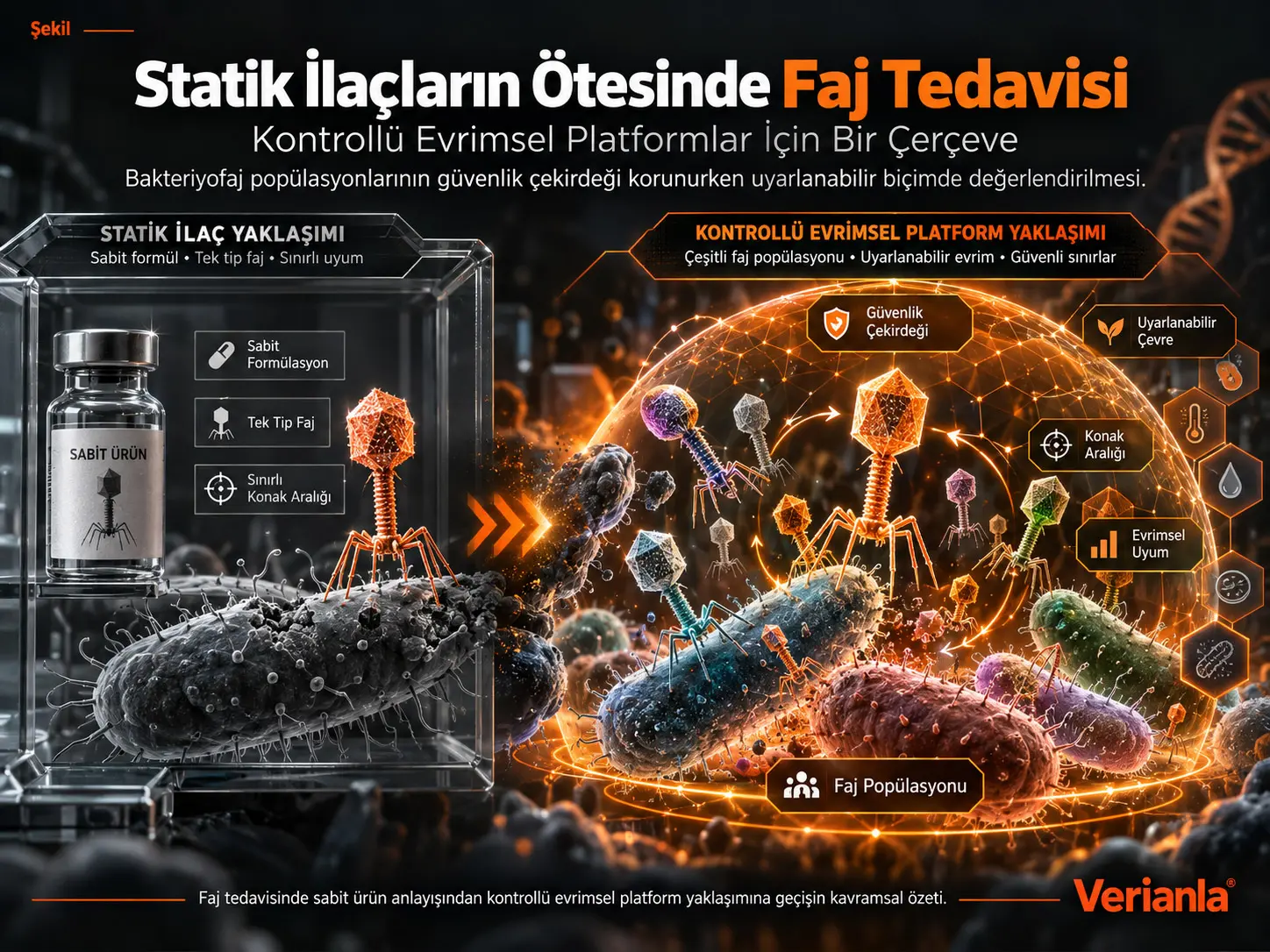 Statik İlaç Modelinin Ötesinde Faj Tedavisi: Kontrollü Evrimsel Platformlar İçin Bir Çerçeve