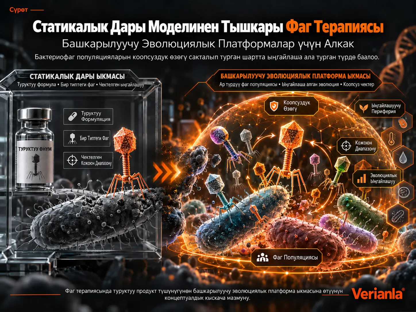 Статикалык Дары Моделинен Тышкары Фаг Терапиясы: Башкарылуучу Эволюциялык Платформалар үчүн Алкак