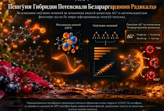 Стратегияи Гибридие, ки Омӯзиши Мошинӣ ва Механикаи Квантиро барои Пешгӯии Потенсиали Безараргардонии Радикалҳо Муттаҳид мекунад
