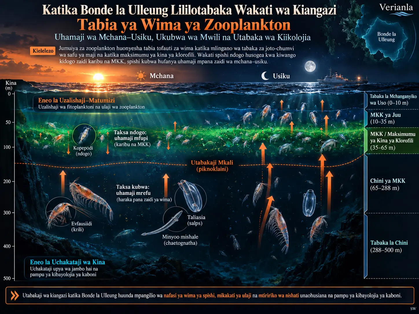 Tabia ya Wima ya Zooplankton katika Bonde la Ulleung Lililotabaka Wakati wa Kiangazi: Uhamaji wa Mchana–Usiku, Ukubwa wa Mwili na Utabaka wa Kiikolojia