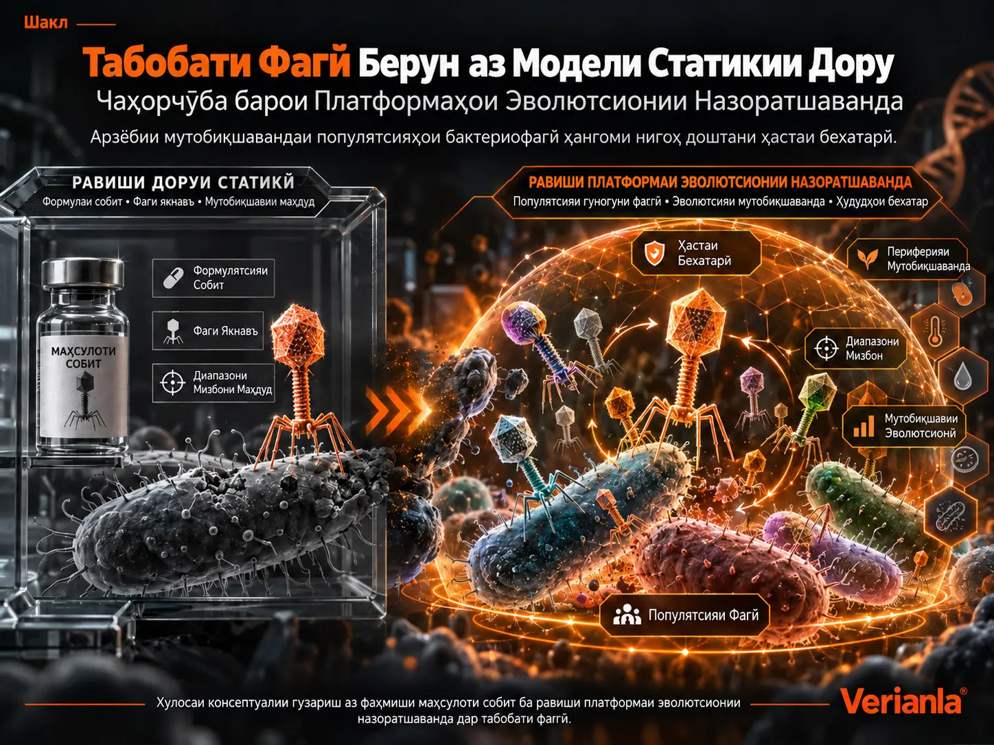 Табобати Фагӣ Берун аз Модели Статикии Дору: Чаҳорчӯба барои Платформаҳои Эволютсионии Назоратшаванда