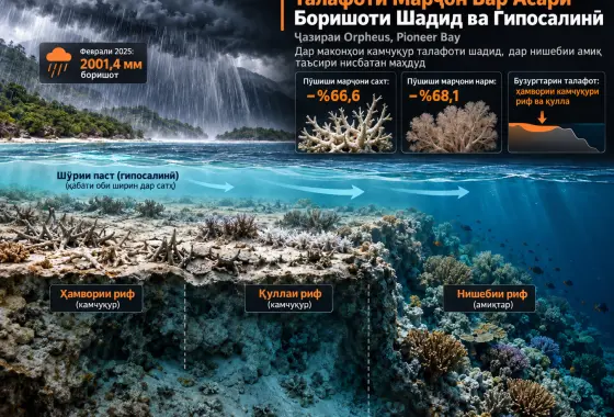 Тағйирпазирии Таксономии Талафоти Марҷон дар Ҷазираи Orpheus: Робита бо Боришоти Бесобиқа ва Гипосалинӣ