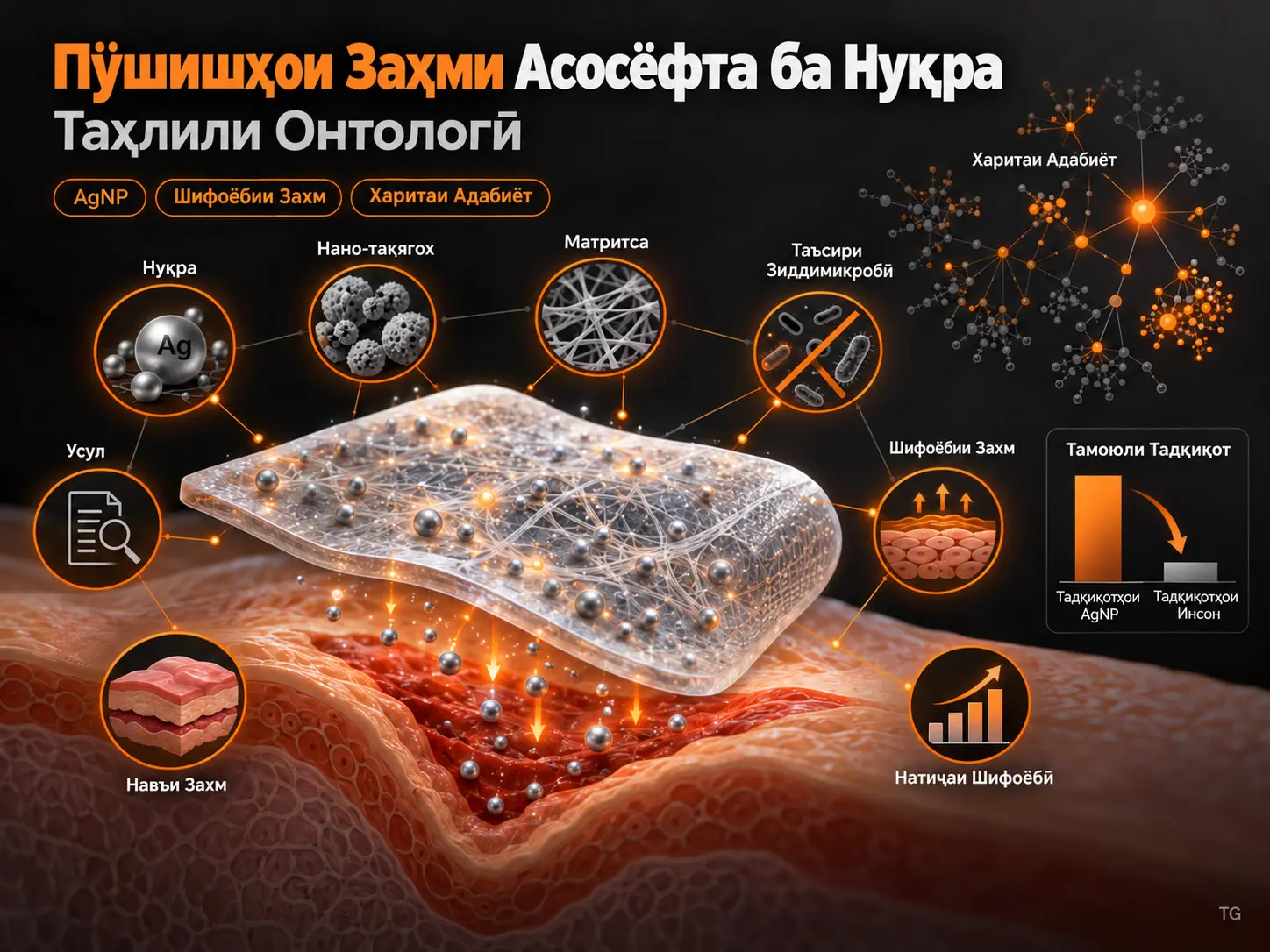 Таҳқиқоти Пӯшишҳои Захми Асосёфта ба Нуқра: Таҳлили Онтологӣ