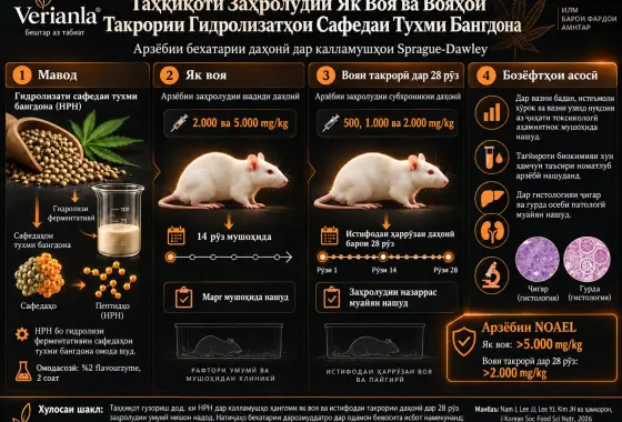 Таҳқиқоти Заҳролудии Як Воя ва Вояҳои Такрории Гидролизатҳои Сафедаи Тухми Бангдона