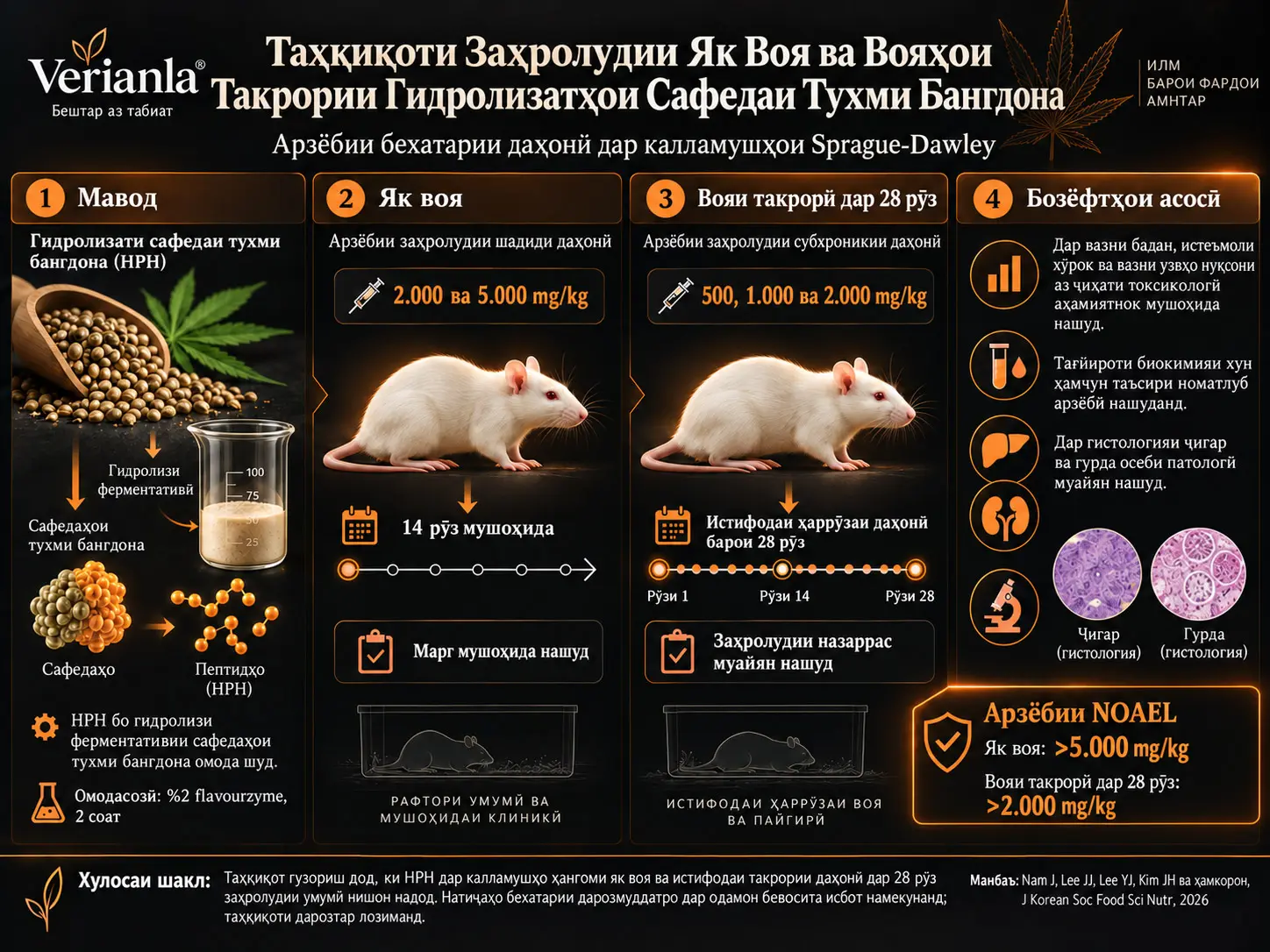 Таҳқиқоти Заҳролудии Як Воя ва Вояҳои Такрории Гидролизатҳои Сафедаи Тухми Бангдона