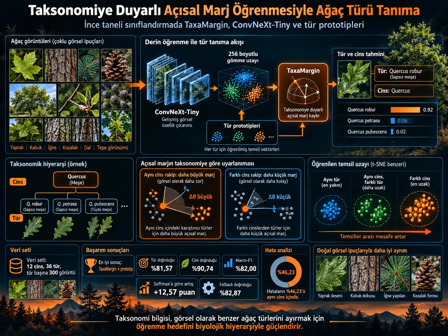 Taksonomiye Duyarlı Açısal Marj Öğrenmesiyle İnce Taneli Ağaç Türü Tanımanın İyileştirilmesi