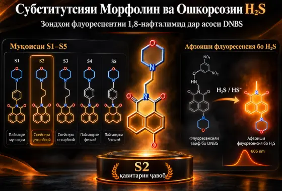 Таъсири Субститутсияи Морфолин ба Зондҳои Флуоресцентии 1,8-Нафталимид дар Асоси DNBS барои Ошкорсозии H₂S