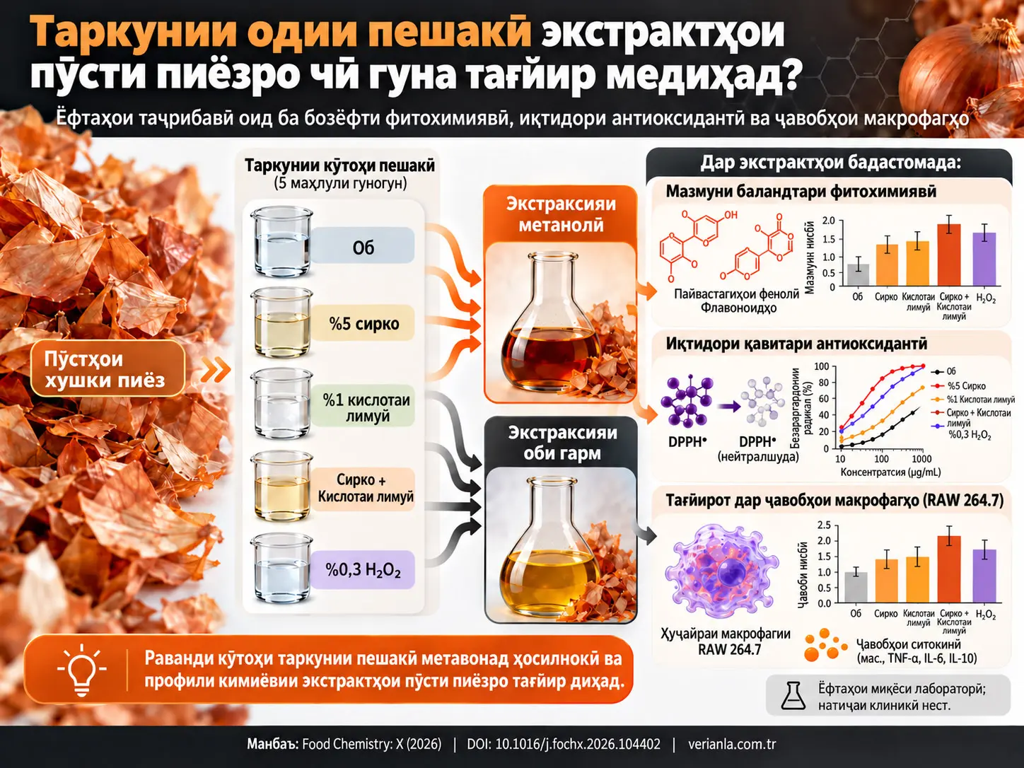 Таъсири Таркунии Одии Пешакӣ ба Бозёфти Фитохимиявӣ, Иқтидори Антиоксидантӣ ва Ҷавобҳои Макрофагҳо дар Экстрактҳои Пӯсти Пиёз