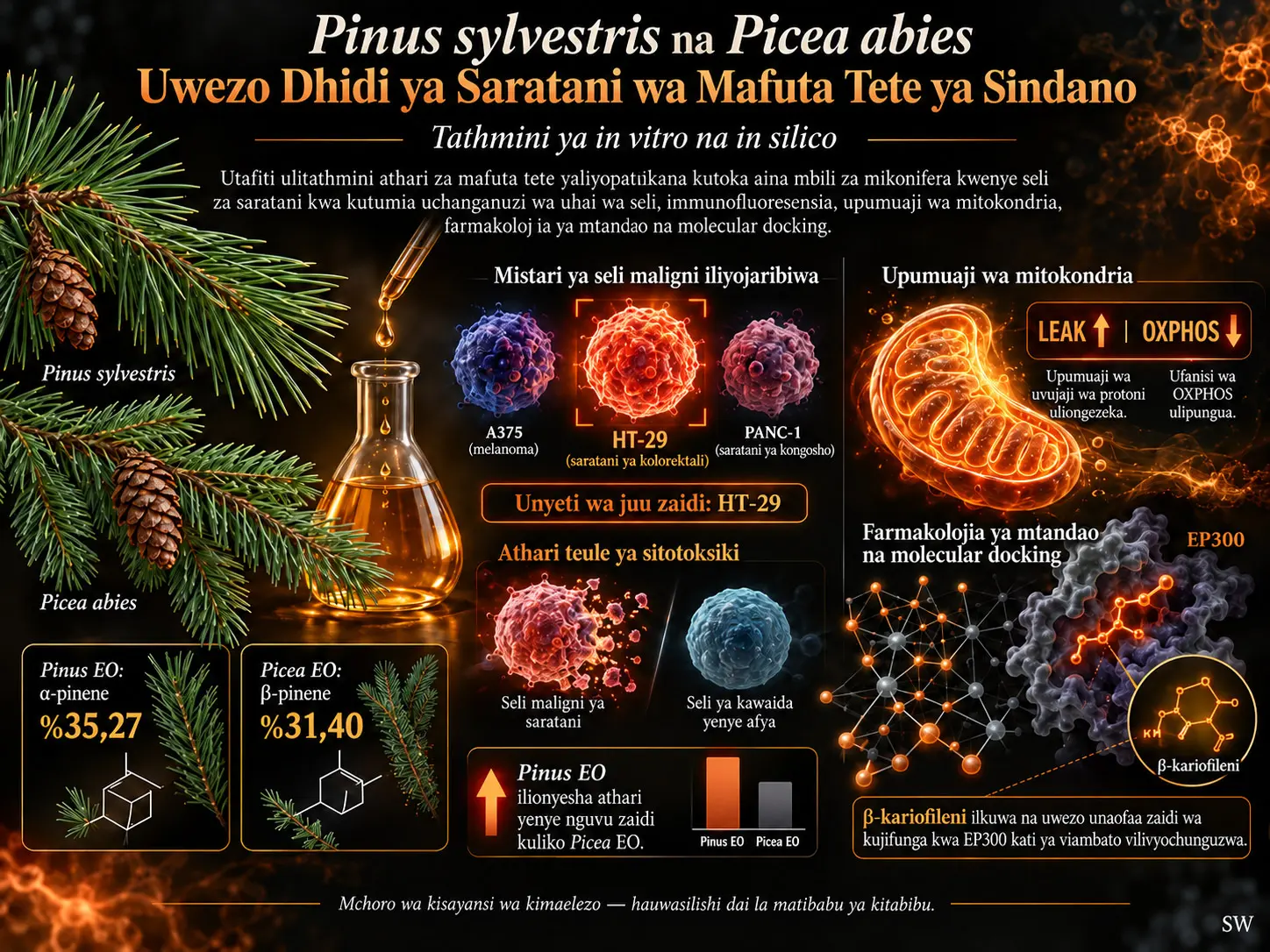 Tathmini ya In Vitro na In Silico ya Uwezo Dhidi ya Saratani wa Mafuta Tete kutoka Sindano za Pinus sylvestris na Picea abies