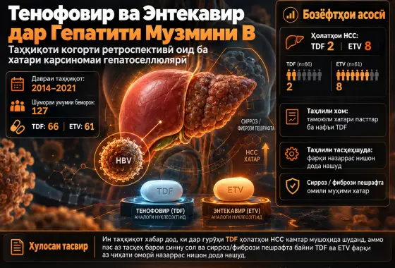 Тенофовир ва Энтекавир дар Гепатити Музмини B: Таҳқиқоти Когорти Ретроспективӣ оид ба Хатари Карсиномаи Гепатоселлюлярӣ дар Беморхонаи Сатҳи Сеюм дар Ҷануби Бразилия