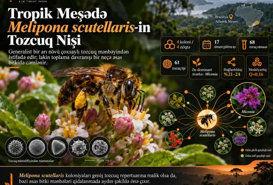 Tropik Meşədə Melipona (Michmelia) scutellaris Latreille, 1811-in Tozcuq Nişi: Palinoloji Perspektiv
