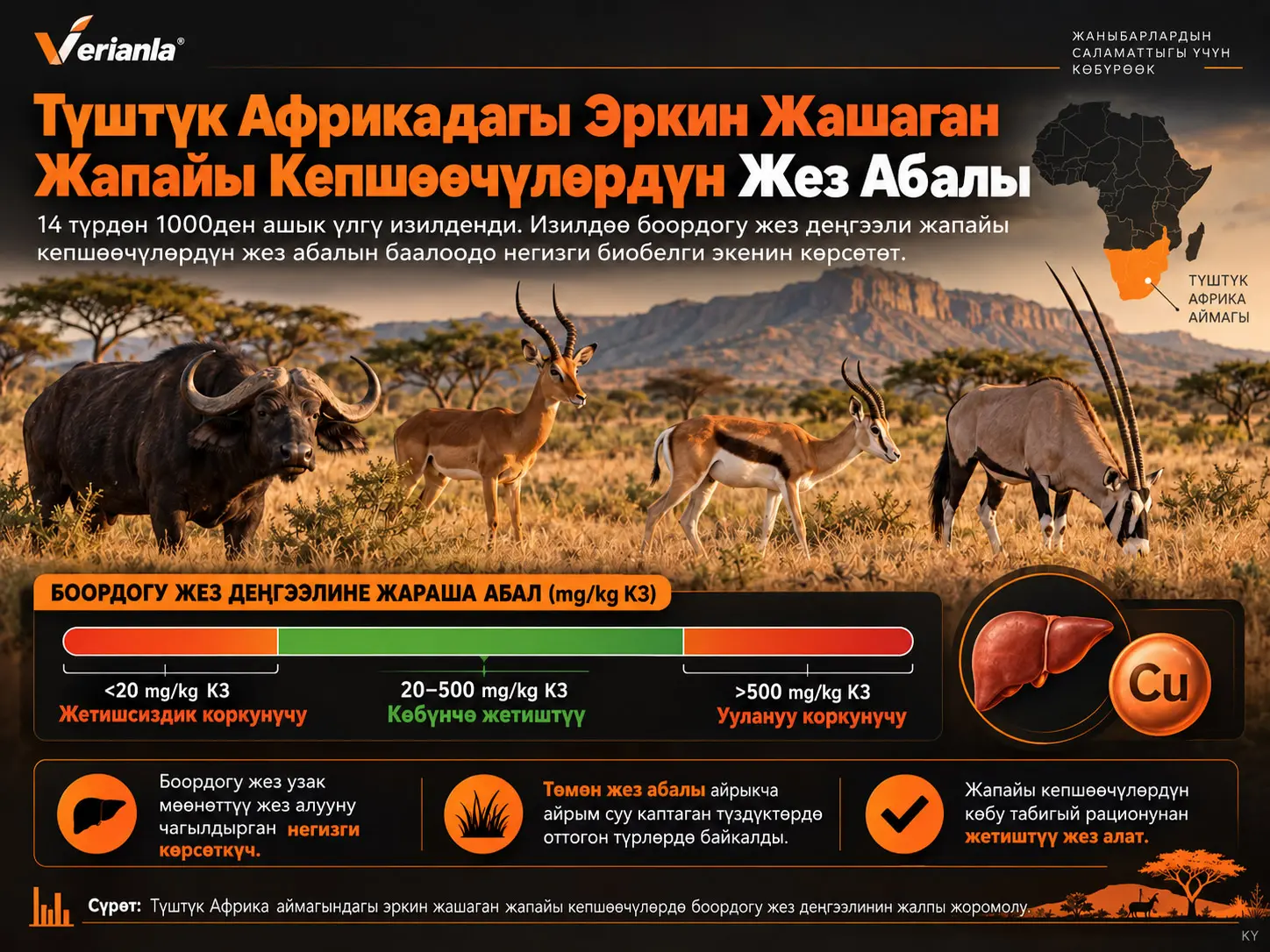 Түштүк Африка Аймагындагы Эркин Жашаган Жапайы Кепшөөчүлөрдүн Жез Менен Азыктануу Абалы