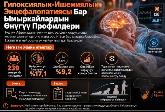 Түштүк Африкадагы Үчүнчү Деңгээлдеги Ооруканада Гипоксиялык-Ишемиялык Энцефалопатиясы Бар Ымыркайлардын Өнүгүү Профилдери
