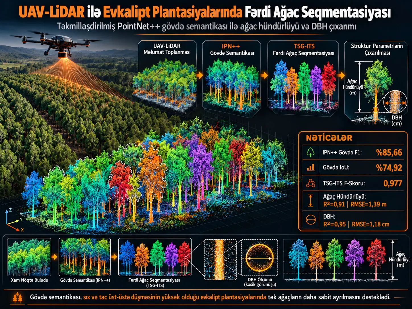 UAV-LiDAR İstifadə Edilərək Evkalipt Plantasiyalarında Fərdi Ağac Seqmentasiyası və Struktur Parametrlərin Çıxarılması üçün Təkmilləşdirilmiş PointNet++ Gövdə Semantikası