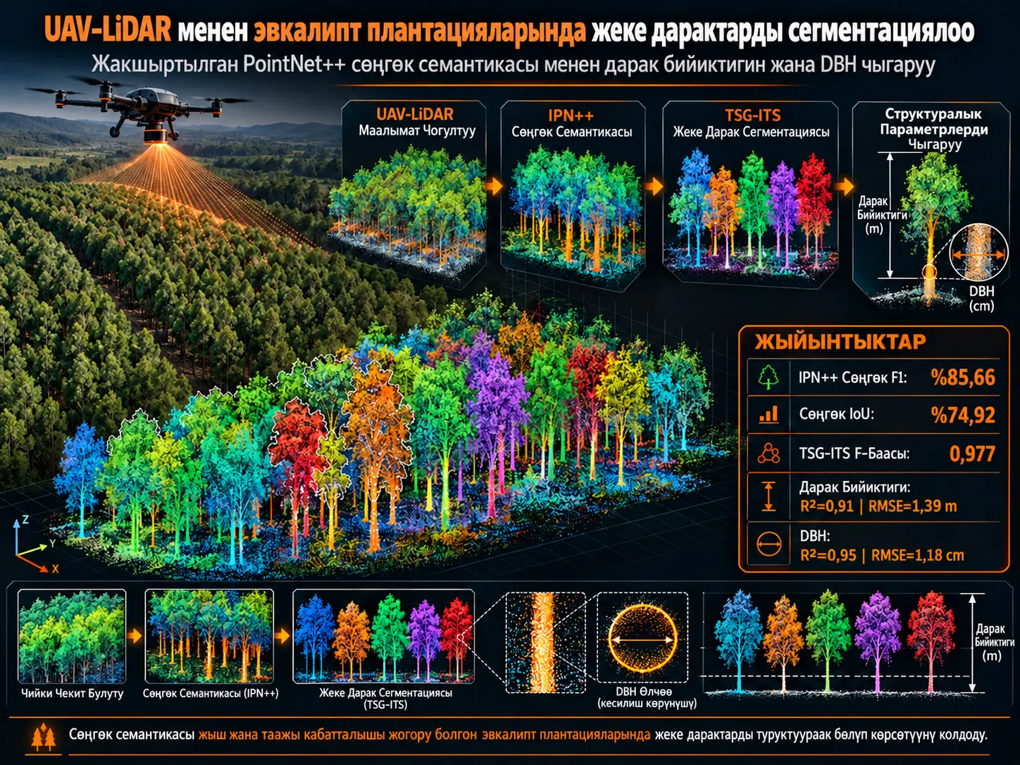 UAV-LiDAR колдонуп эвкалипт плантацияларында жеке дарактарды сегментациялоо жана структуралык параметрлерди чыгаруу үчүн жакшыртылган PointNet++ сөңгөк семантикасы