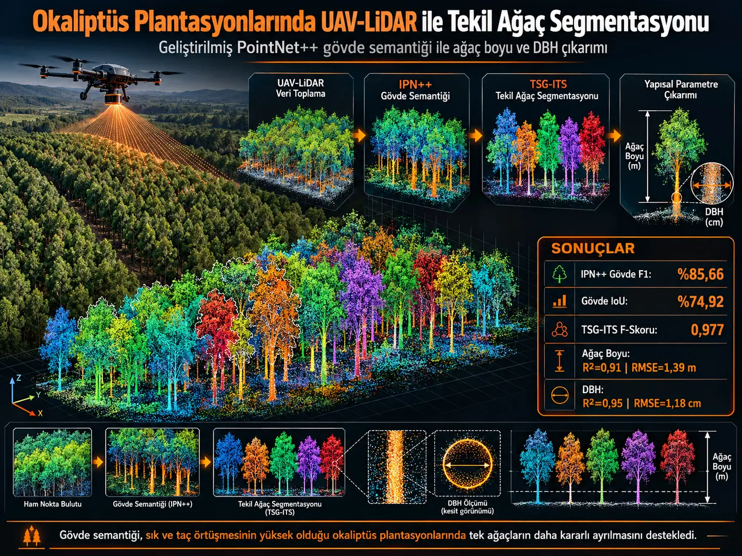 UAV-LiDAR Kullanılarak Okaliptüs Plantasyonlarında Tekil Ağaç Segmentasyonu ve Yapısal Parametre Çıkarımı İçin Geliştirilmiş PointNet++ Gövde Semantiği