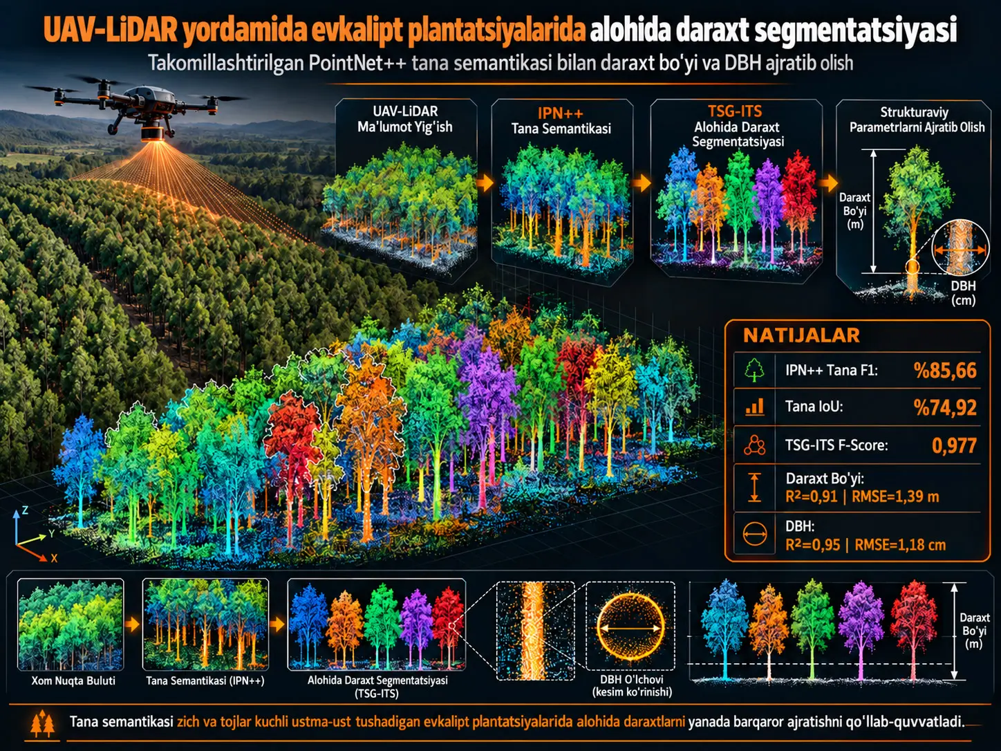 UAV-LiDAR yordamida evkalipt plantatsiyalarida alohida daraxt segmentatsiyasi va strukturaviy parametrlarni ajratib olish uchun takomillashtirilgan PointNet++ tana semantikasi